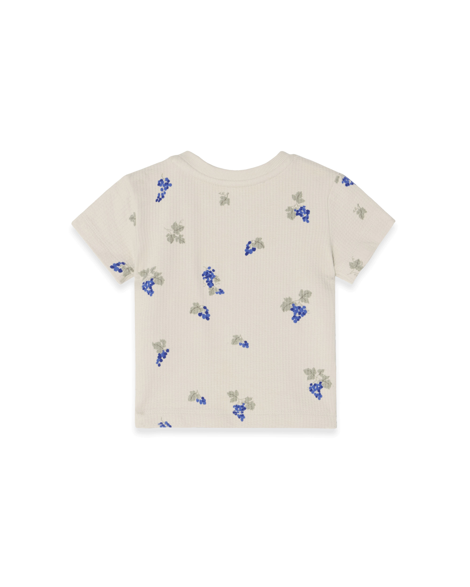 Garbo&Friends Structured Jersey T-shirt Baby | Grapes Ecru image 1
