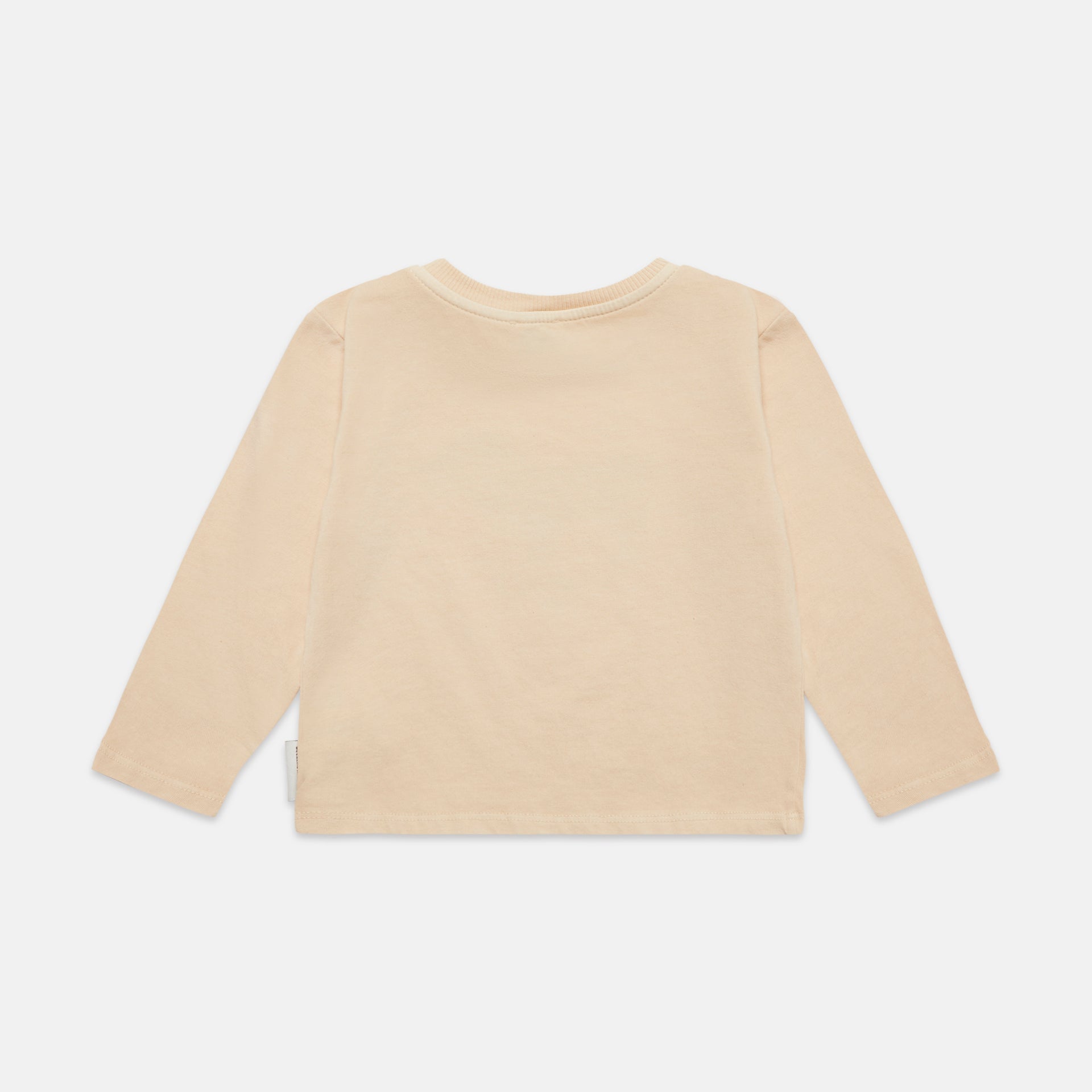 Blue Dog L/S baby t-shirt