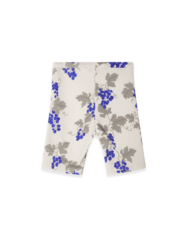 Garbo&Friends UV Swim Shorts | Grapes Blue image 1