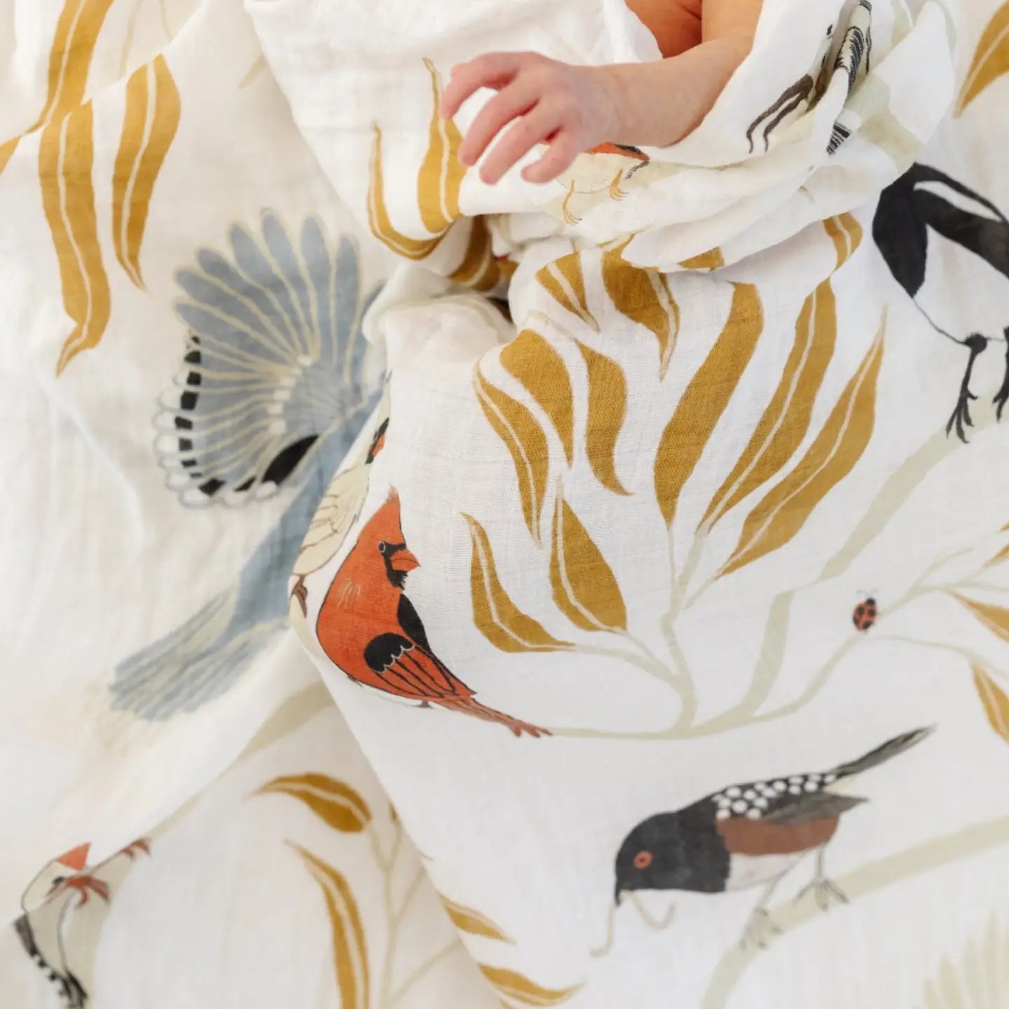 Clementine Kids For the Birds Swaddle image 1