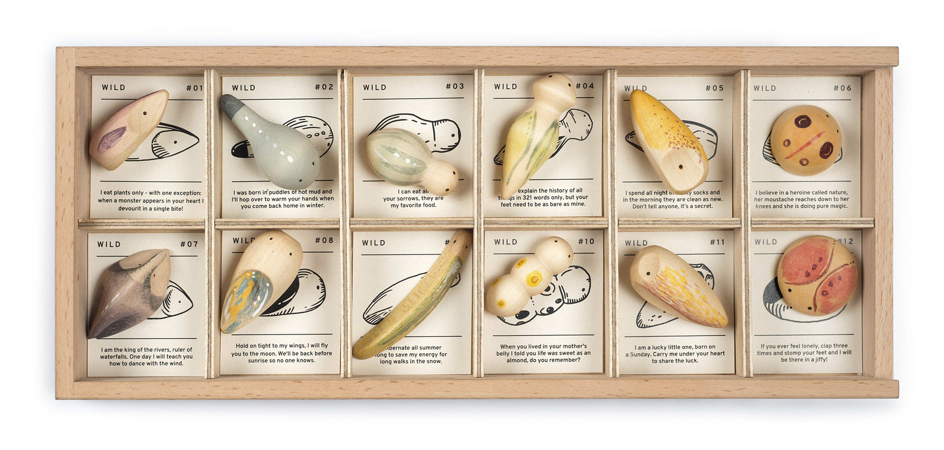 Wild Exploration Play Set