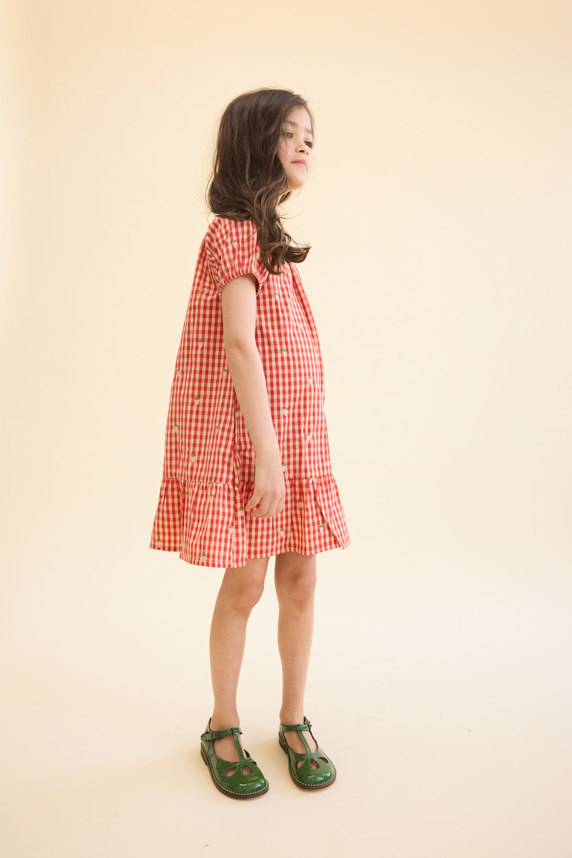 Molly Pineberry Dress Red-pink Berry Gingham