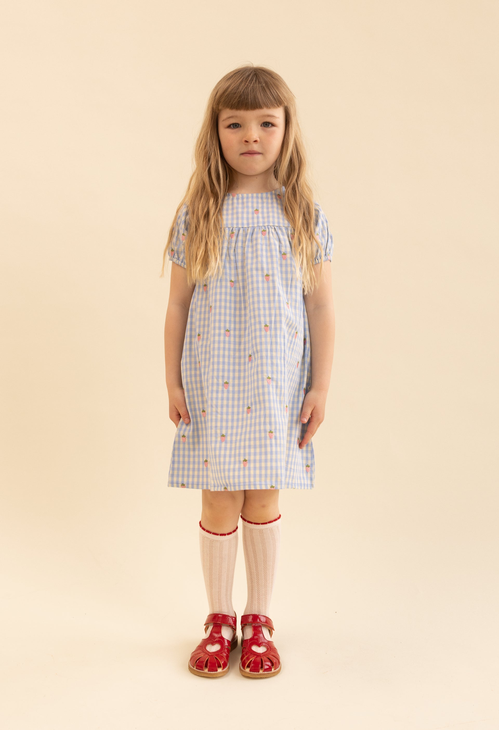 Mille SS Dress Sky Berry Gingham