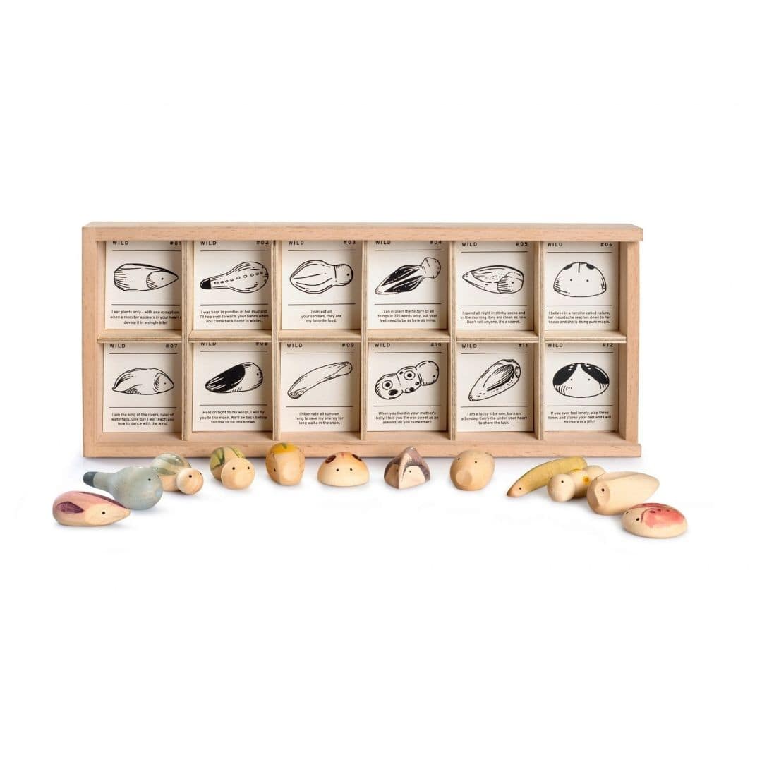 Wild Exploration Play Set