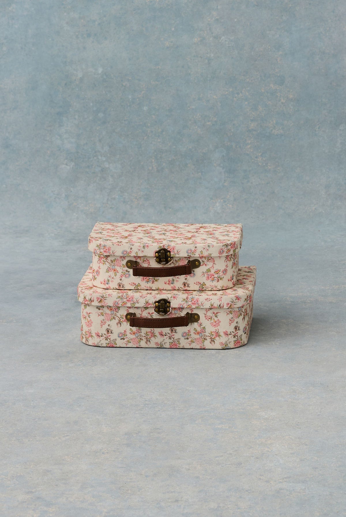 Palina Storage Case - Cream Carnation Vale