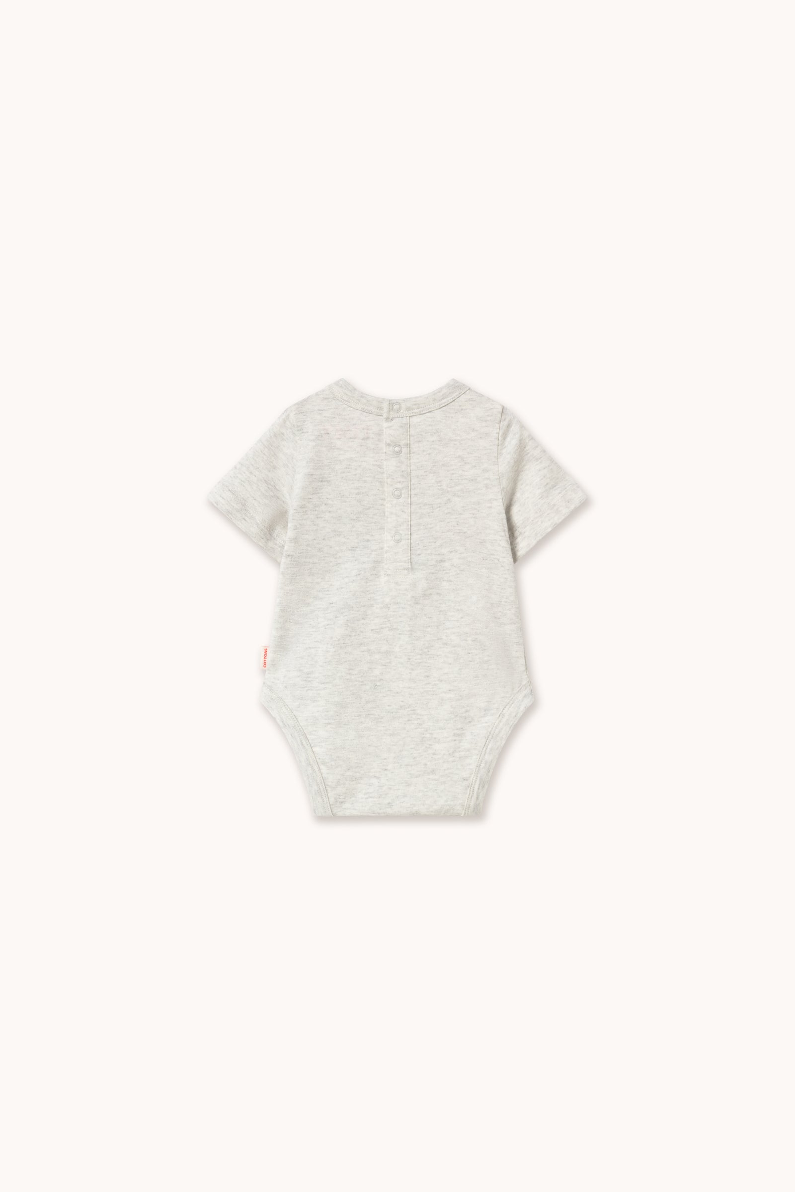 Frog & Frog Graphic Body