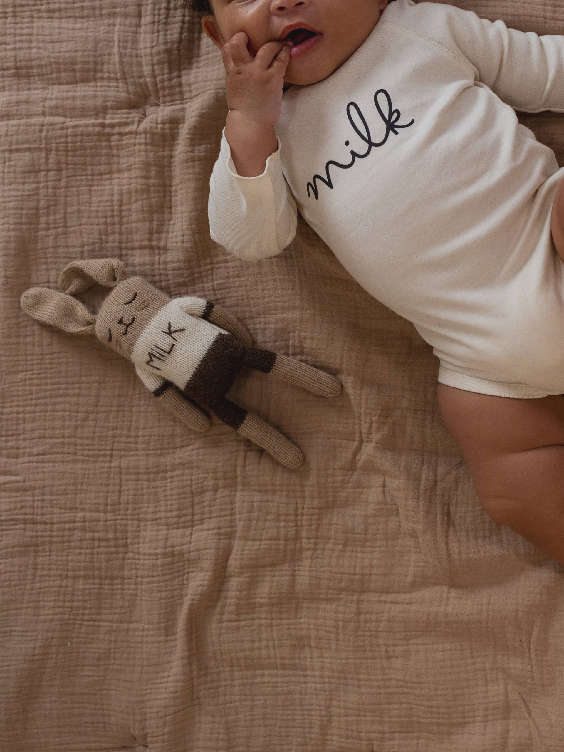 Teddy Soft Toy - Milk