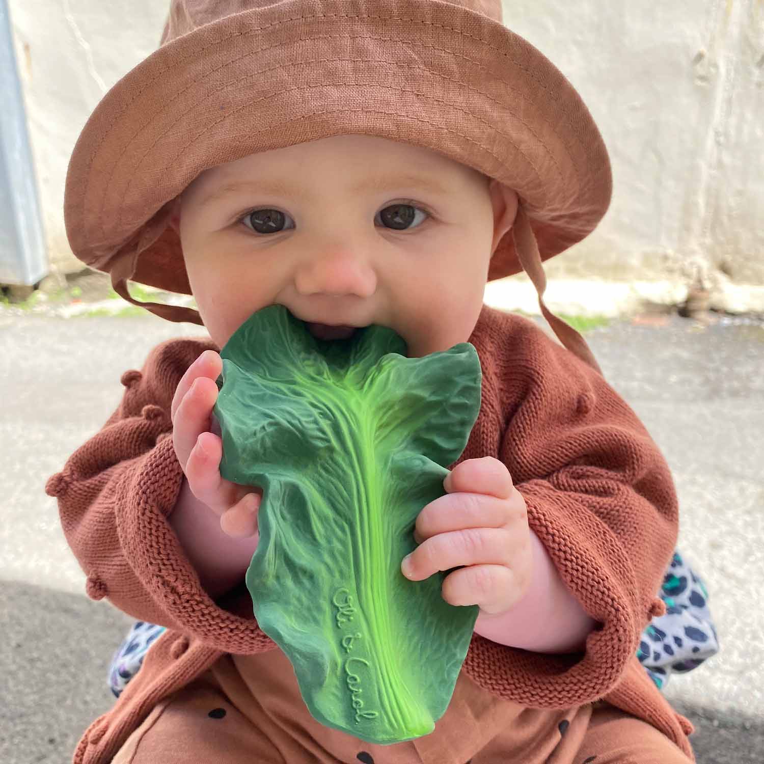 Oli&Carol Kendall the Kale Teether image 2