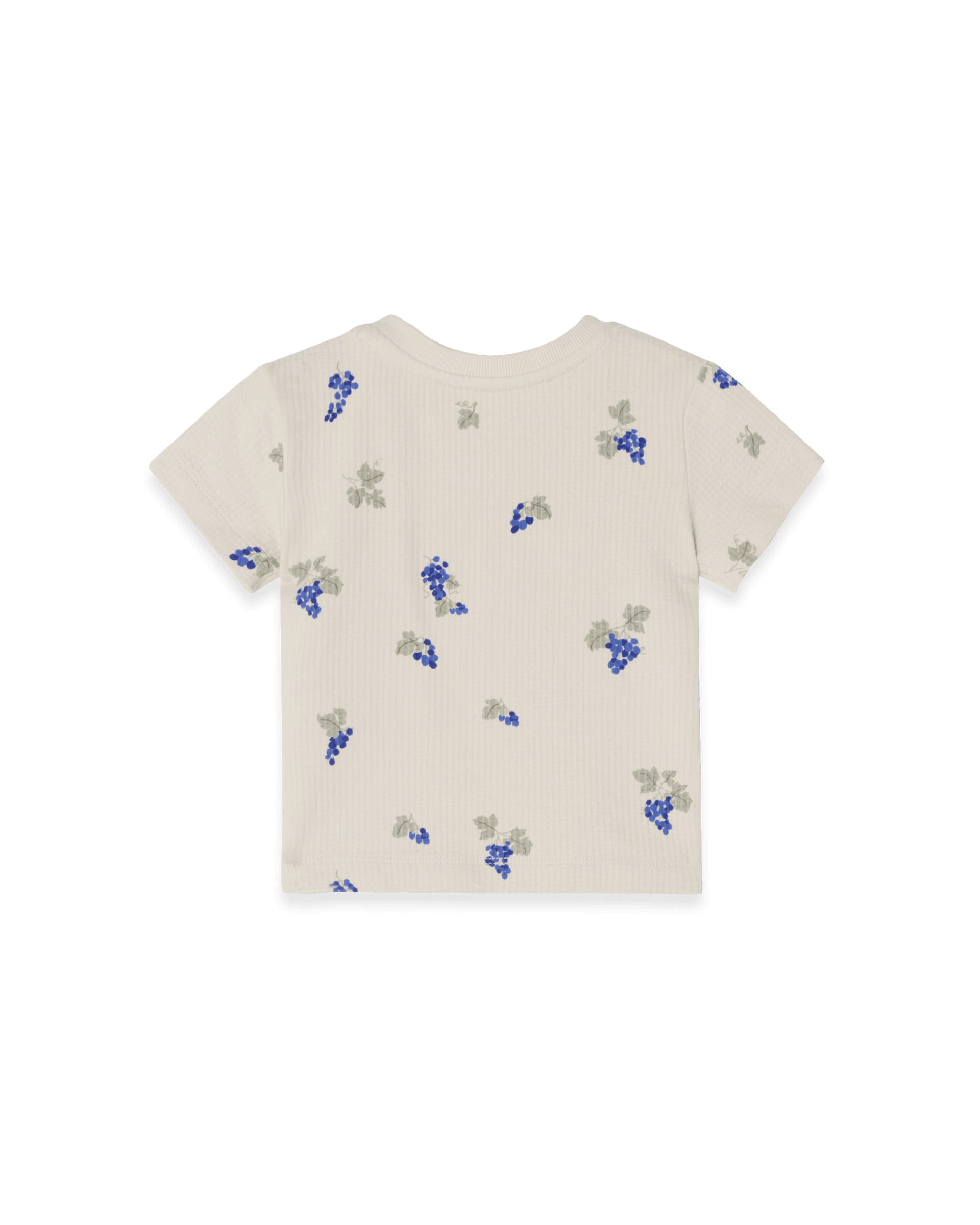 Garbo&Friends Structured Jersey T-shirt Baby | Grapes Ecru image 1