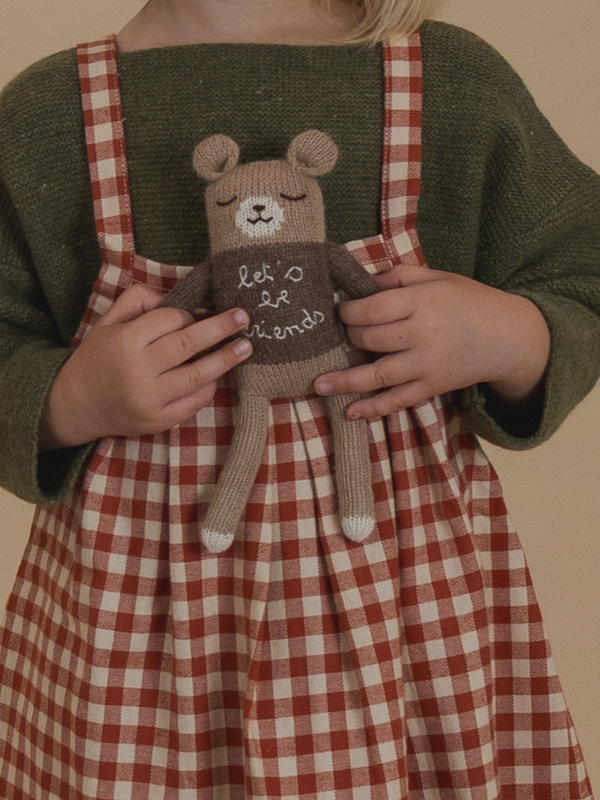 Teddy Soft Toy - Friends