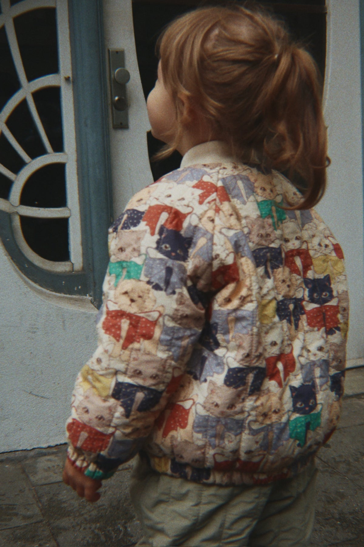 Juno Printed Bomber Jacket - Like Cats And Dogs