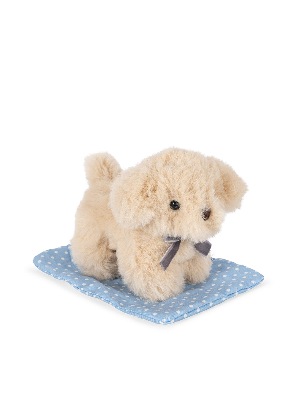 Take Care Of Me - Animals - Dog